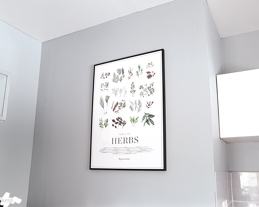 Poster Store - Affiche Herbs