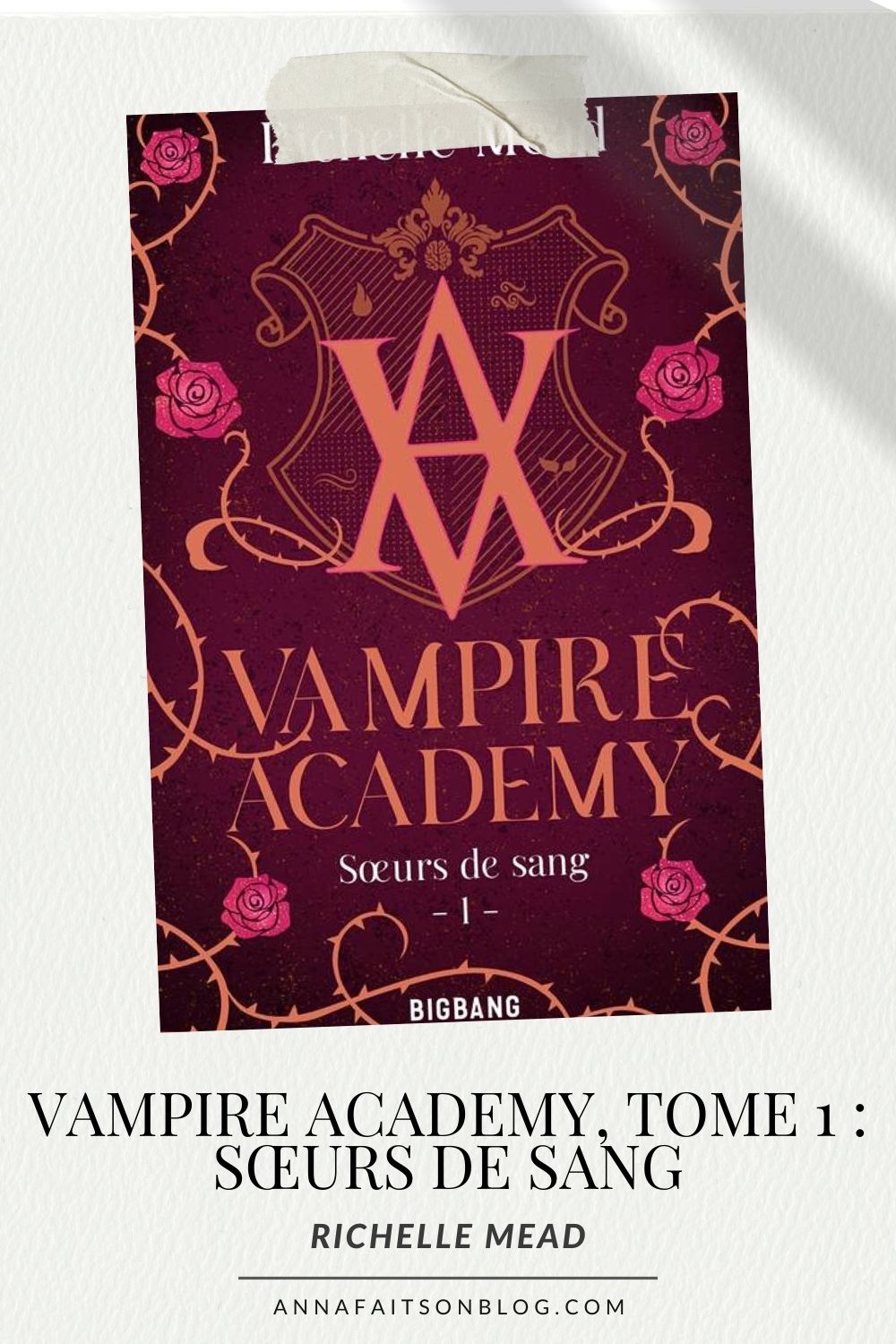 Vampire Academy, tome 1 : Sœurs de sang - Richelle Mead